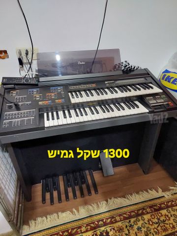 אורגן