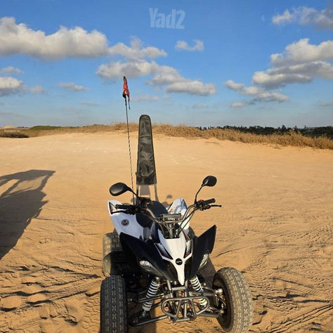 טייגר 2 במצב חדש