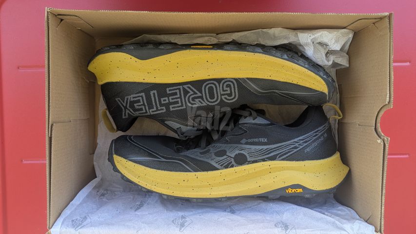 סאקוני peregrine16 - gtx