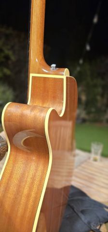 Takamine d51c