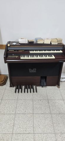 אורגן