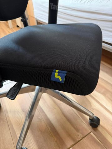 כיסא Double Back של ד"ר גב