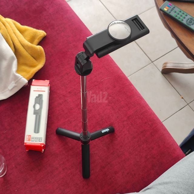 מקל מוט סלפי