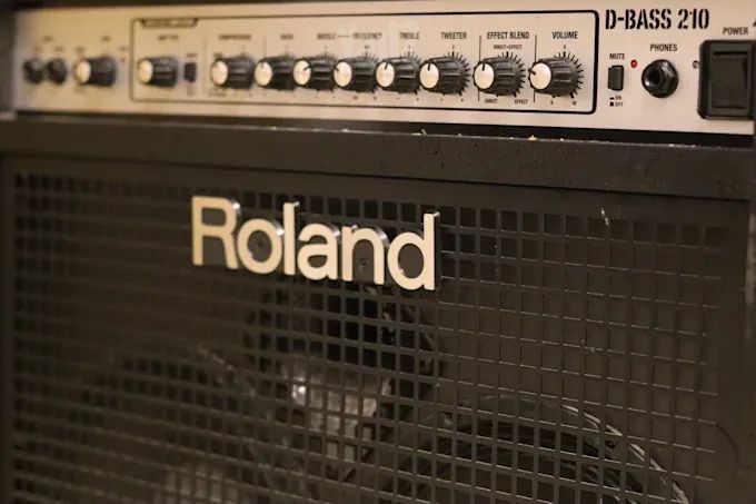 מגבר בס Roland D-Bass 210