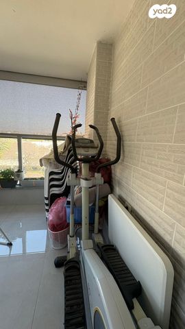 אליפטיקל מקצועי