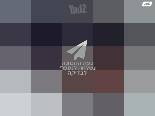 כינור