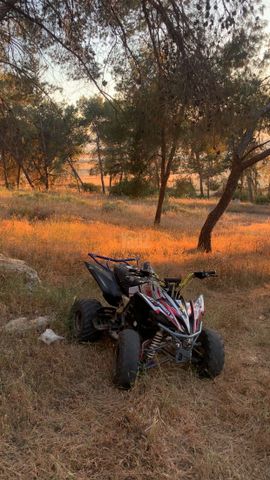 Tiger7
