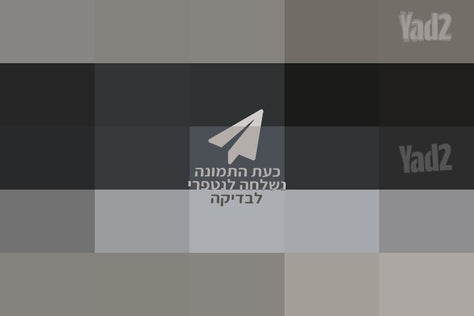 אורגן קורג EK 50