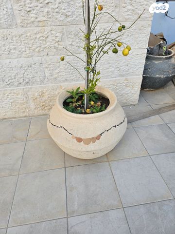 עציץ לגינה