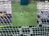 וילון