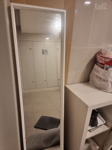 מראת גוף