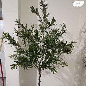עציץ