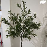 עציץ