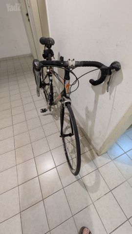 אופניי כביש specialized