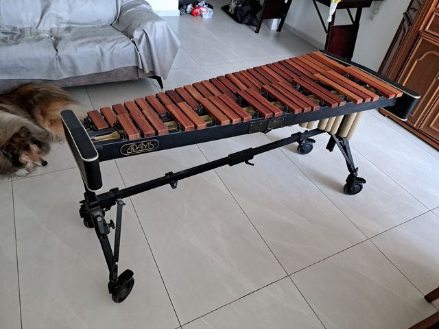 קסילופון Xylophone Adams