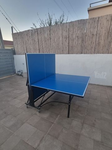 שולחן טניס