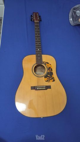 גיטרה Washburn D12S MEL+ נרתיק