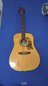 גיטרה Washburn D12S MEL+ נרתיק