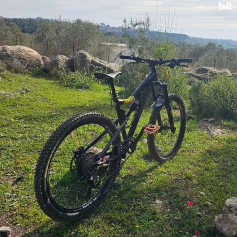 santa cruz