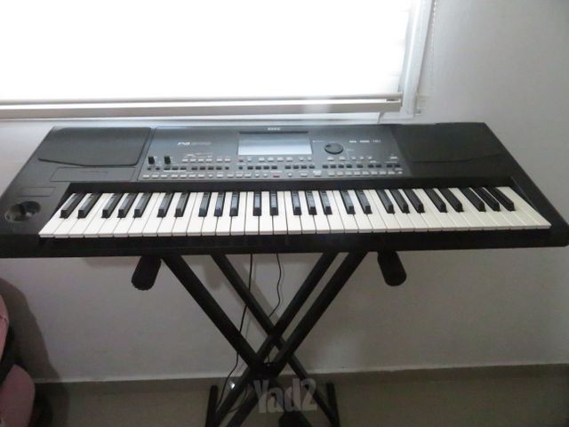 אורגן קורג pa600