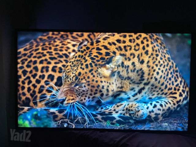 Lg 55