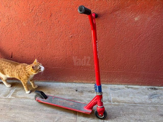 קורקינט פעלולים Razor