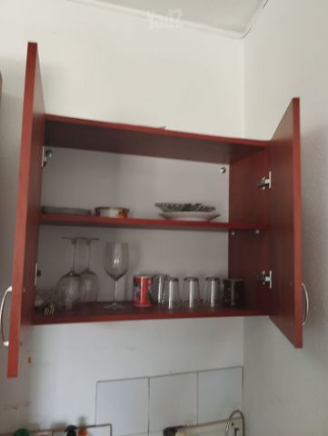 ארונית