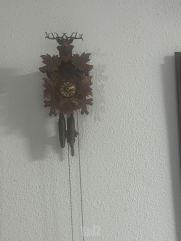 שעוני קוקו