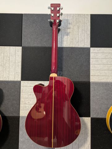 Tanglewood Evolution TSFCER