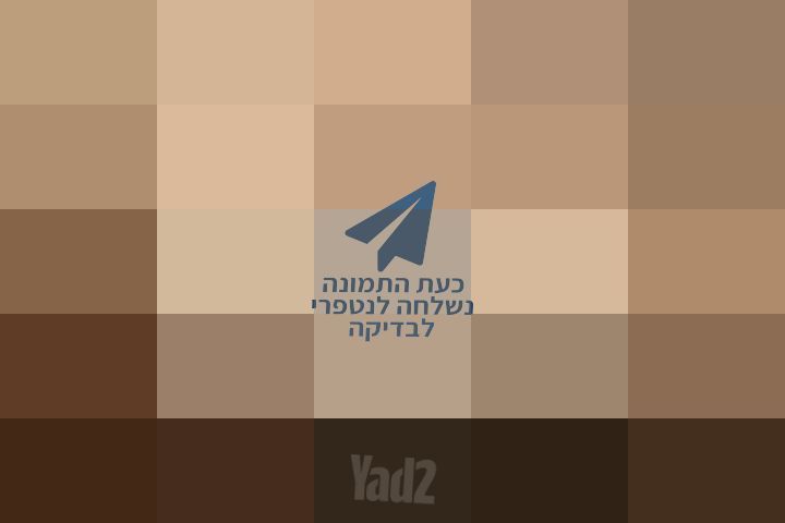 6 כסאות מעוצבים