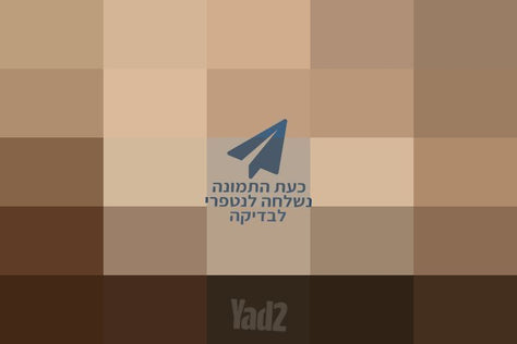 6 כסאות מעוצבים