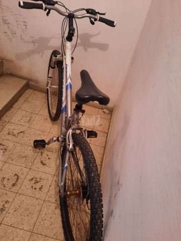 אוני הרים לנשים