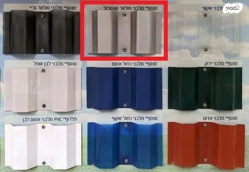 סנטף