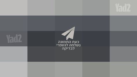 כלי נגינה