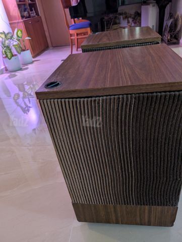 רמקול bose 501
