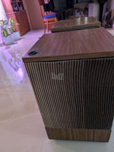 רמקול bose 501