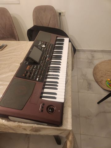 אורגן קורג pa1000