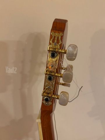 גיטרה
