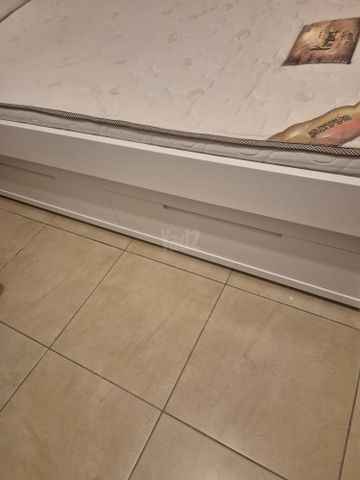 מיטת נוער
