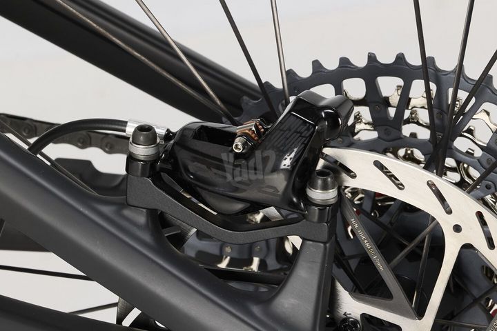 Canyon Spectral CF LTD Mullet