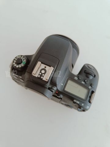 מצלמת Canon EOS 77D.