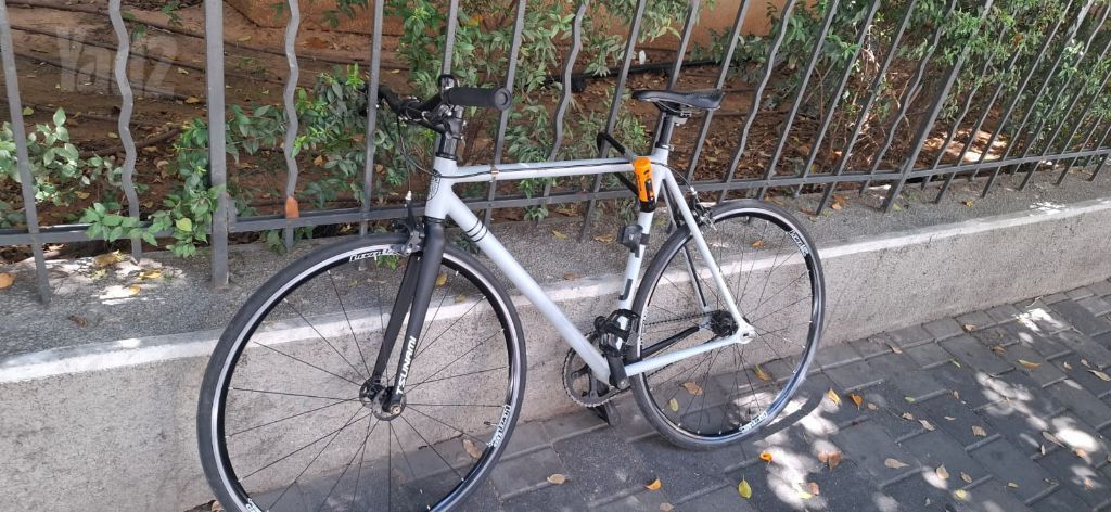 DAUS Custom Single Speed