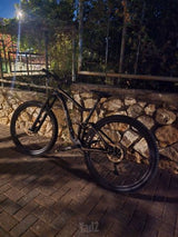 אופני GIANT STANCE 2 29