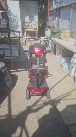 קלנועית