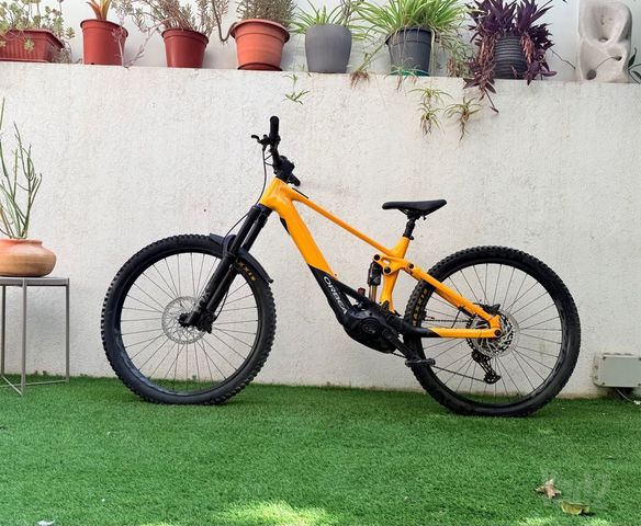 Orbea Wild