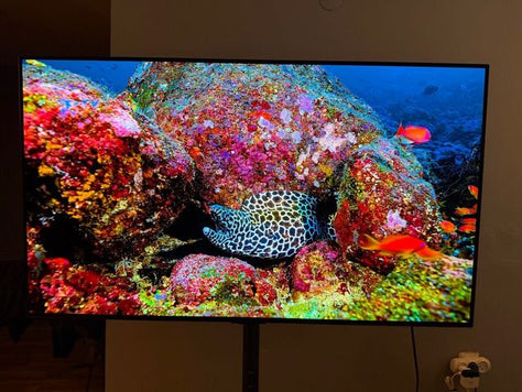LG OLED 48