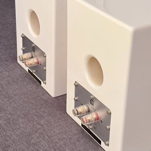 Morel Octave 6 Limited Edition