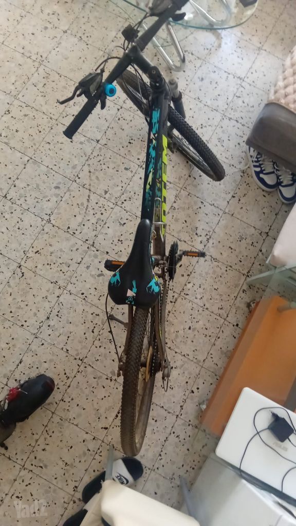 אופניים רגילים