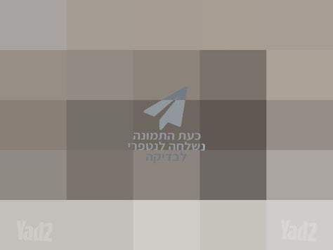 אופנים חשמליות
