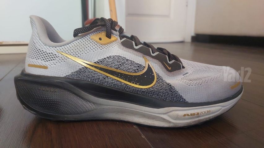נעלי Nike Pegasus 41